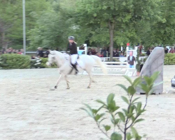 Reitturnier Bochum-Nord 2016