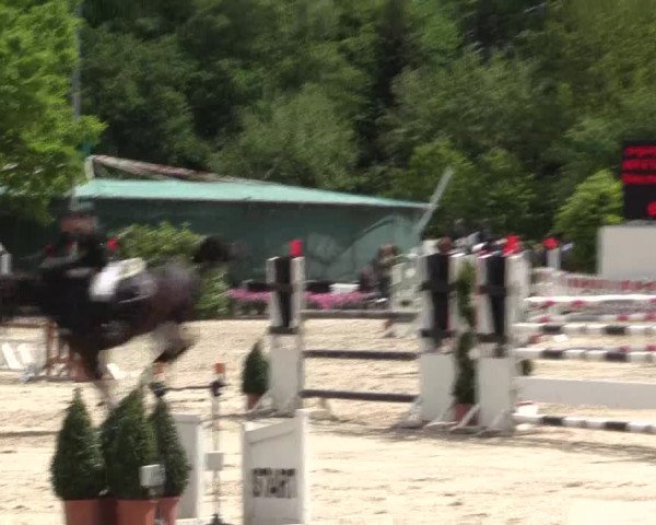 Reitturnier Bochum-Nord 2016