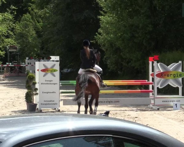 Reitturnier Bochum-Nord 2016