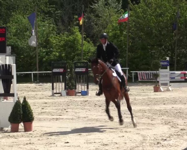 Reitturnier Bochum-Nord 2016