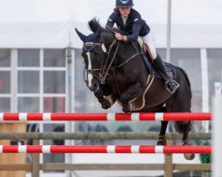 Zuchtstute Best Mix Evana (Belgisches Warmblut, 2004, von Querlybet Hero)