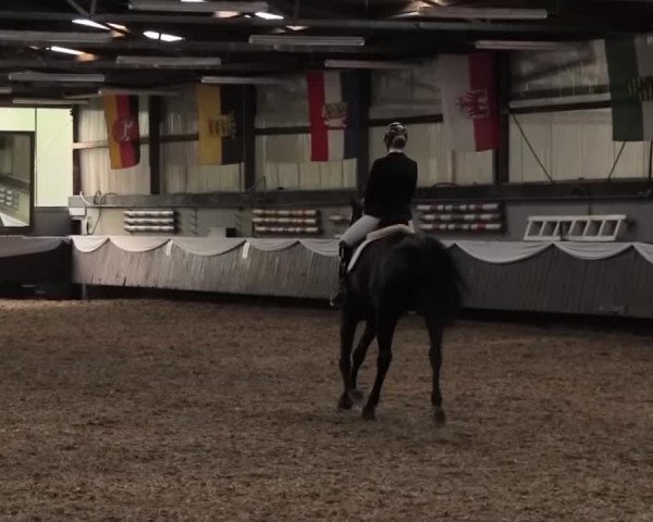 Reitturnier Bochum-Nord 2016