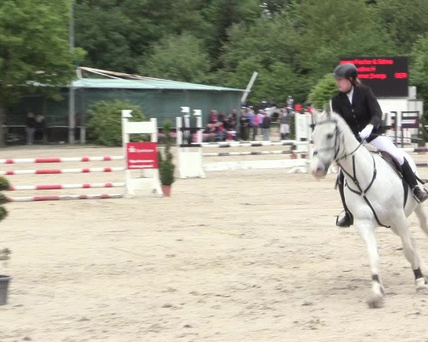 Reitturnier Bochum-Nord 2016