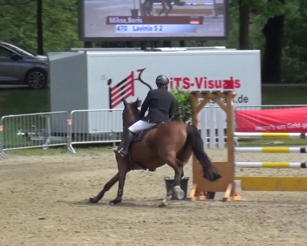 Reitturnier Mönchengladbach-Wickrath 2016