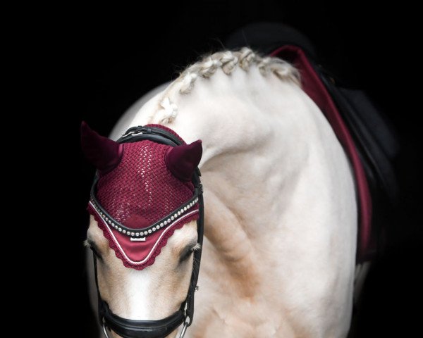 dressage horse Dein Herzblatt (German Riding Pony, 2017, from Diamond Touch NRW)