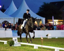 dressage horse Crispie 2 (Westphalian, 2003, from Couleur Rubin)