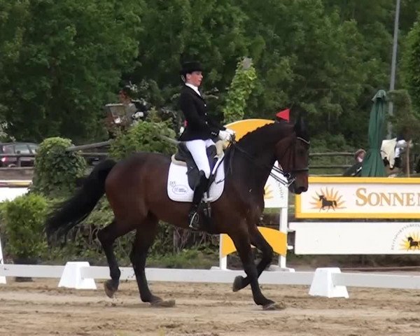 Reitturnier Frechen-Grefrath - Sonnenhof 2016