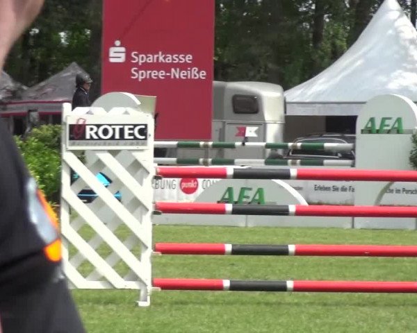 Reitturnier Cottbus-Sielow 2016