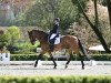 dressage horse Smiling Boy (German Sport Horse, 2007, from Sommerhit)