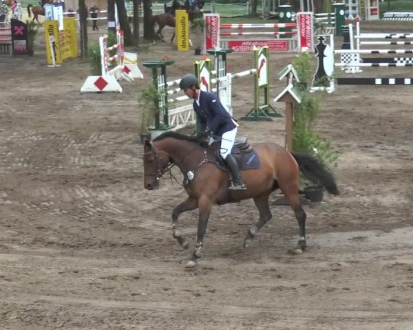 Reitturnier Mettingen 2016