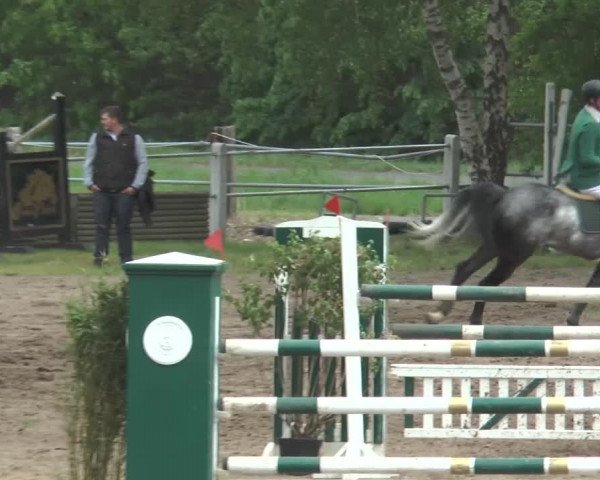 Reitturnier Mettingen 2016