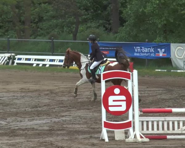 Reitturnier Mettingen 2016