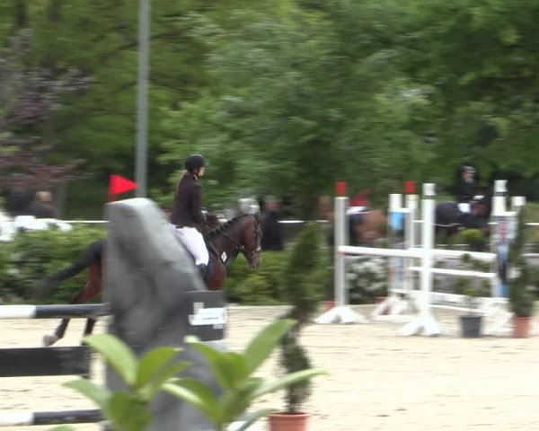 Reitturnier Bochum-Nord 2016
