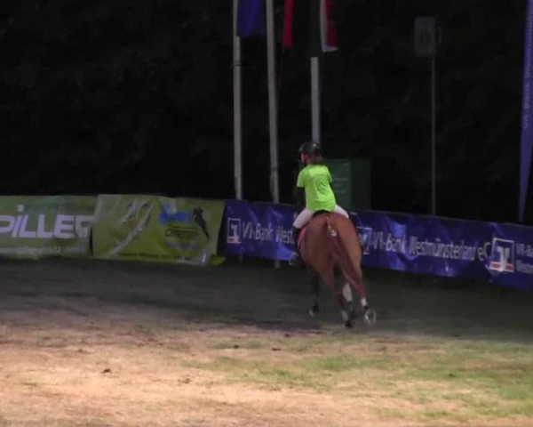 Reitturnier Borken 2016