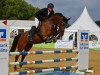 jumper Latina O (Oldenburg show jumper, 2013, from Lord Argentinus)