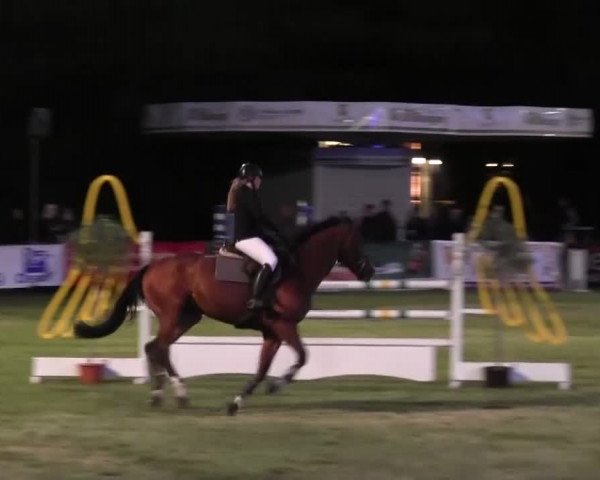 Reitturnier Borken 2016