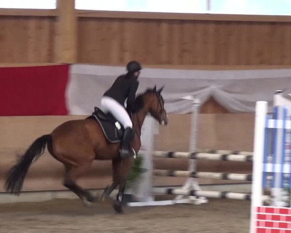 Reitturnier Schwendi 2016