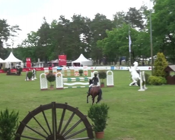 Reitturnier Cottbus-Sielow 2016