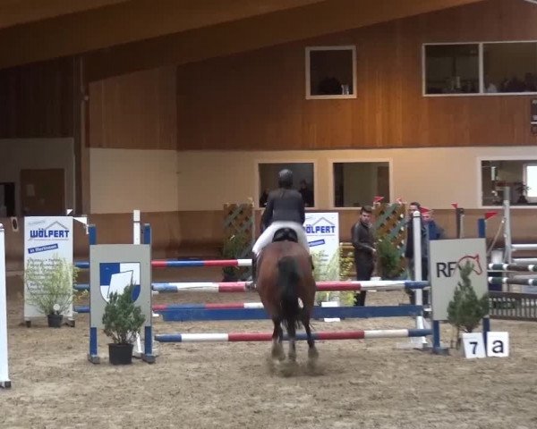 Reitturnier Schwendi 2016