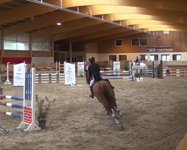 Reitturnier Schwendi 2016