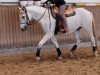 dressage horse Mr Bean (Lipizzaner,  )