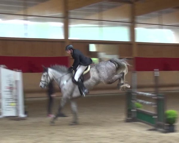 Reitturnier Schwendi 2016