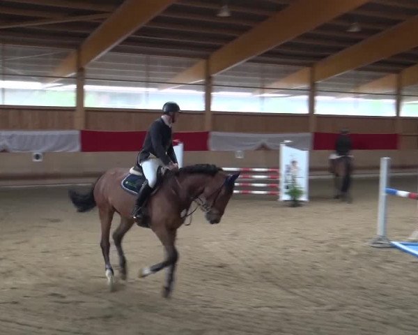 Reitturnier Schwendi 2016