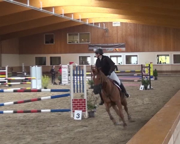 Reitturnier Schwendi 2016