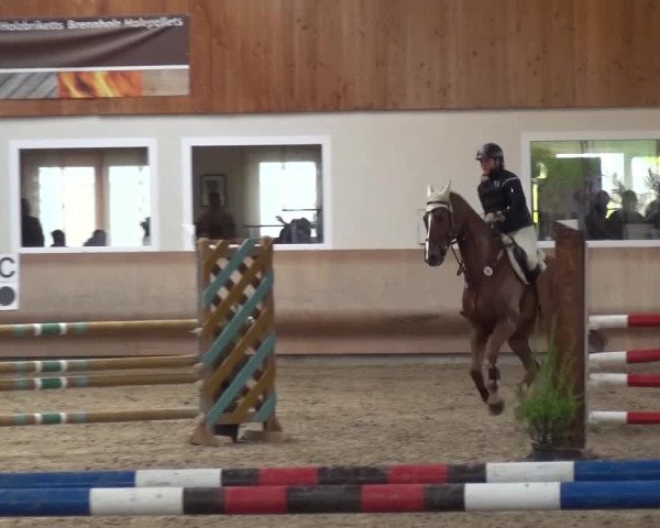 Reitturnier Schwendi 2016