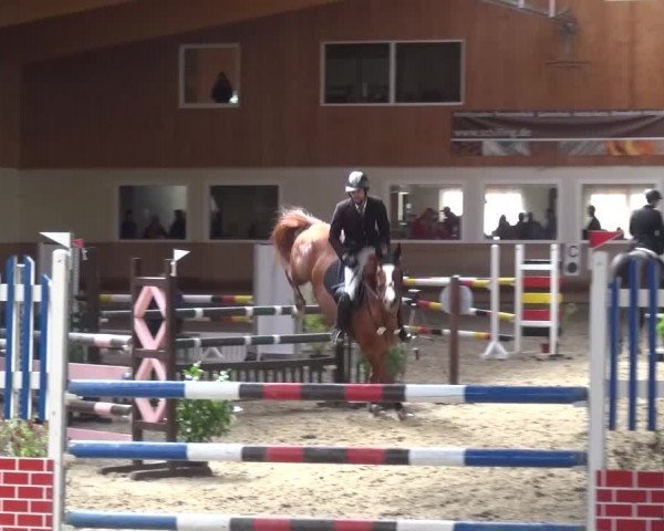 Reitturnier Schwendi 2016