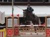 jumper Coupe (Oldenburg, 2010, from Coupe de Coeur 2)