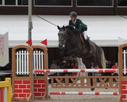 jumper Coupe (Oldenburg, 2010, from Coupe de Coeur 2)