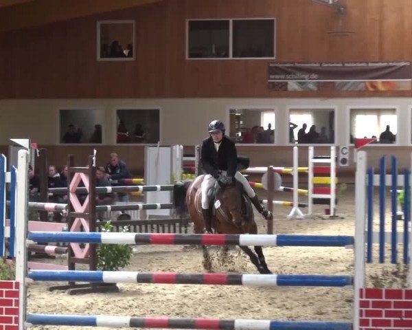 Reitturnier Schwendi 2016