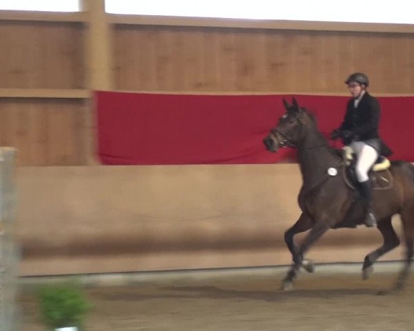 Reitturnier Schwendi 2016