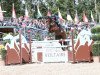 stallion Aventador S (Oldenburg show jumper, 2013, from Armitage)