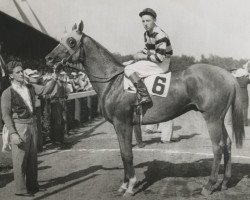 stallion Eight Thirty xx (Thoroughbred, 1936, from Pilate xx)