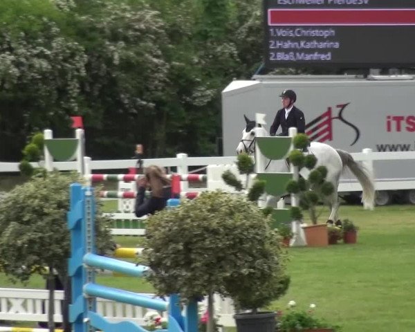 Reitturnier Düren - An der Kuhbrücke 2016