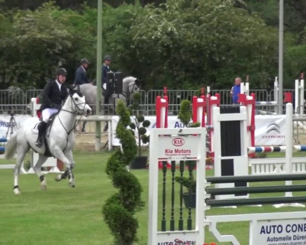 Reitturnier Düren - An der Kuhbrücke 2016