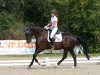 dressage horse Santos Spumante (Hanoverian, 2012, from Sarkozy 3)