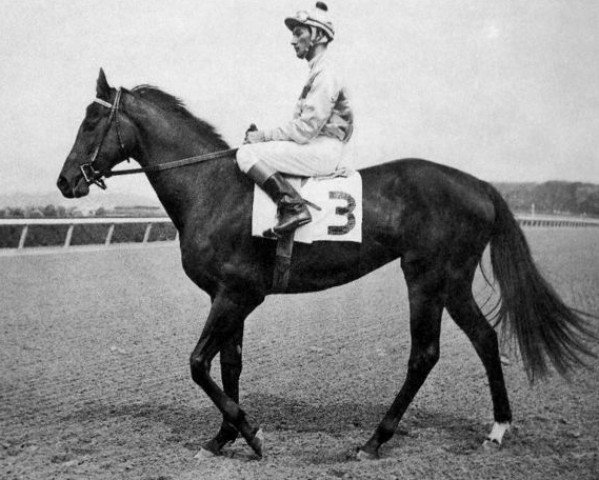 broodmare Affectionately xx (Thoroughbred, 1960, from Swaps xx)