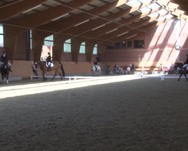 3. Holtkämper Dressurtage 2016