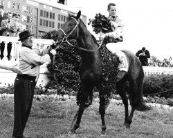 stallion Carry Back xx (Thoroughbred, 1958, from Saggy xx)