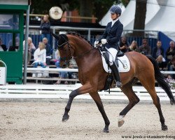 dressage horse Harmony's Bocca Di Bacco (Oldenburg, 2013, from Bordeaux 28)