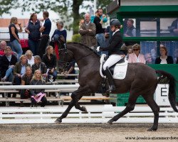 dressage horse Great Gatsby BB (Oldenburg, 2013, from Grand Passion)