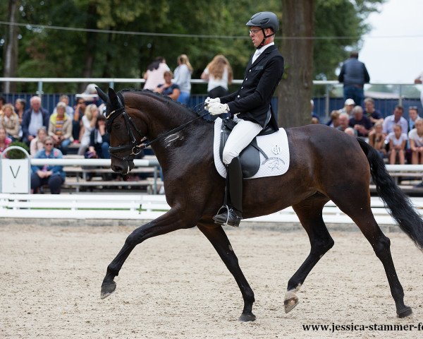 dressage horse Future of W (Rhinelander, 2013, from Fürstenball)