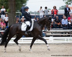 dressage horse Frohnaldo (Oldenburg, 2013, from Foundation 2)