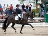 dressage horse Friend for Life (Hanoverian, 2013, from Fiorissimo)