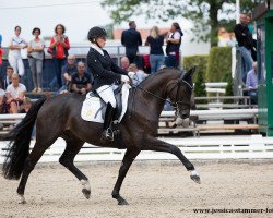 dressage horse Friend for Life (Hanoverian, 2013, from Fiorissimo)