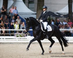 stallion For Final (Oldenburg, 2013, from For Romance I)