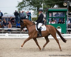 dressage horse Drama Queen (Westphalian, 2013, from Deveraux 3)